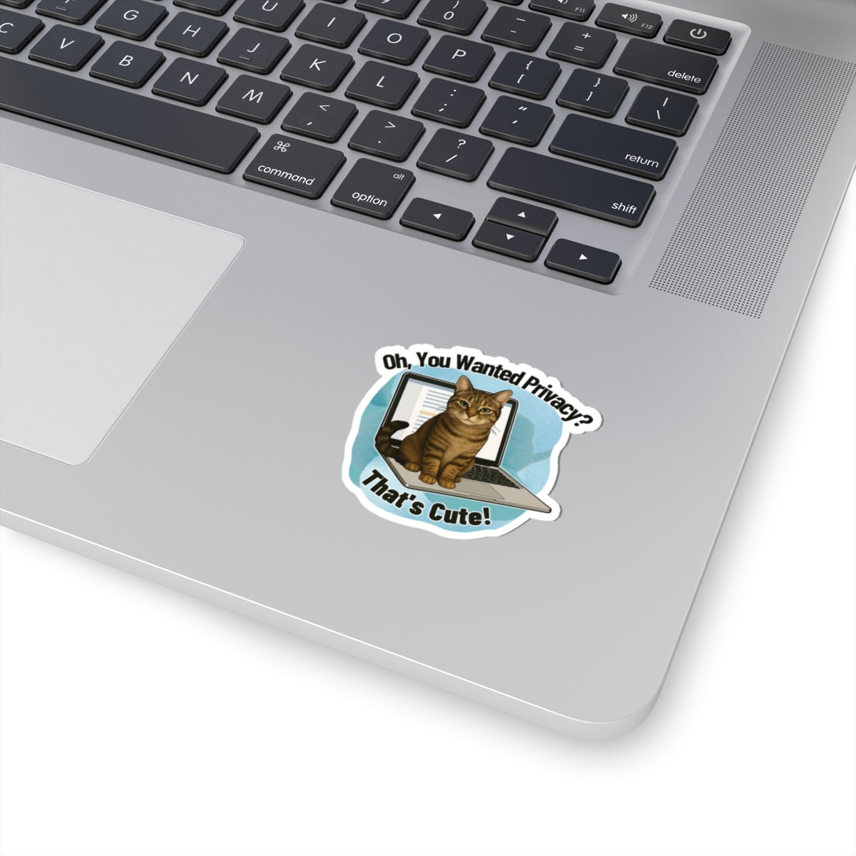 Funny Cat Sticker, Laptop Blocker Tabby Cat Vinyl Sticker, Oh You Wanted Privacy Thats Cute, Gift For Cat Lovers \,WFH Humor Waterproof Decal