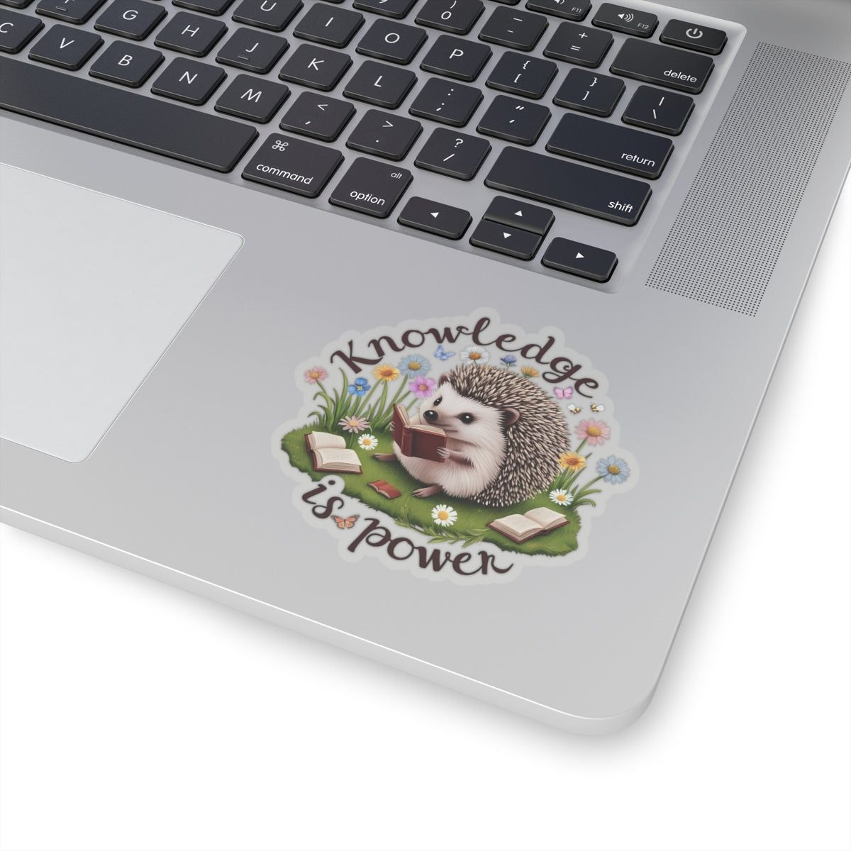 Knowledge Is Power Sticker, Teacher Appreciation Gift, Book Lover Decal, Hedgehog Decal, Nature Inspired Sticker, Laptop Planner School Reading