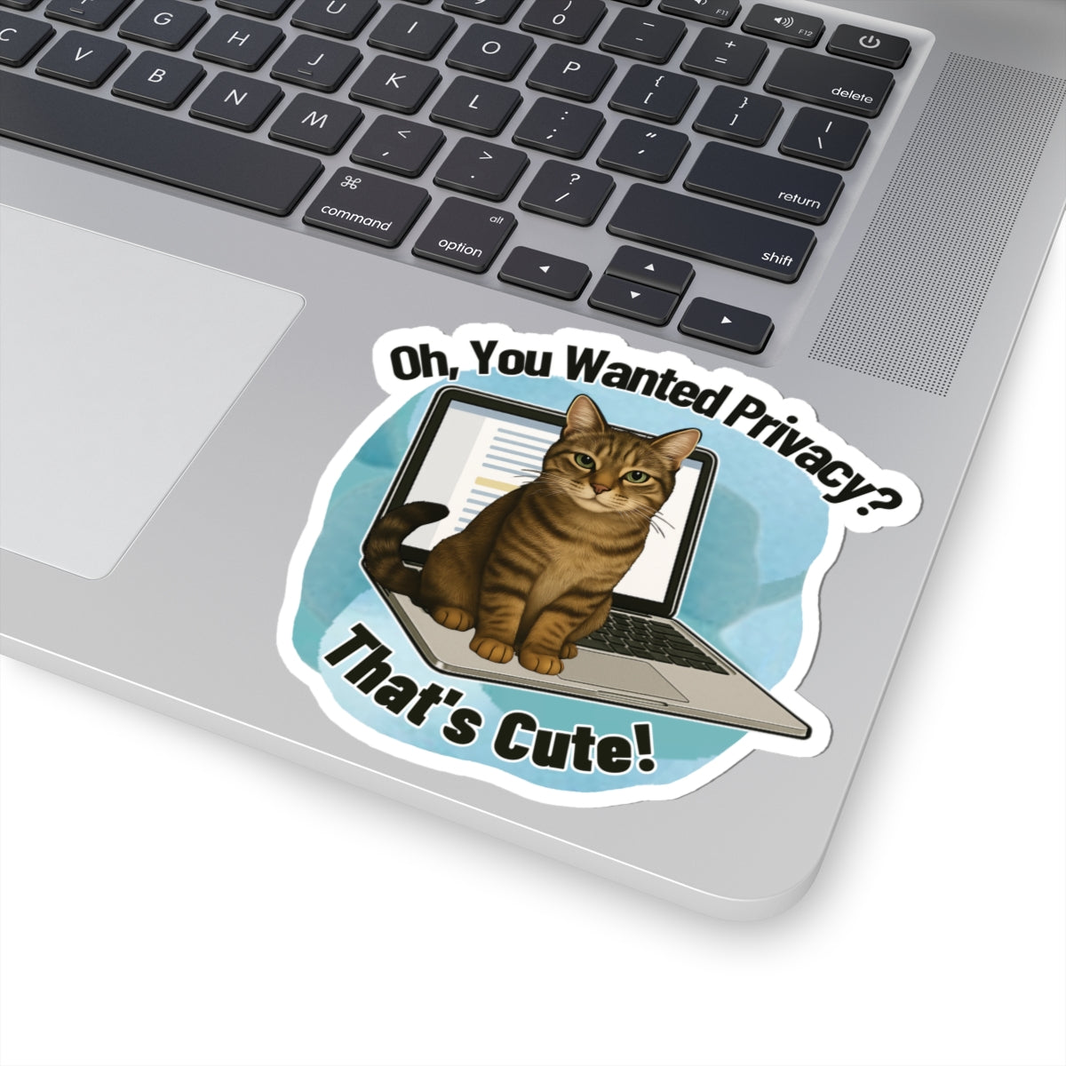 Funny Cat Sticker, Laptop Blocker Tabby Cat Vinyl Sticker, Oh You Wanted Privacy Thats Cute, Gift For Cat Lovers \,WFH Humor Waterproof Decal