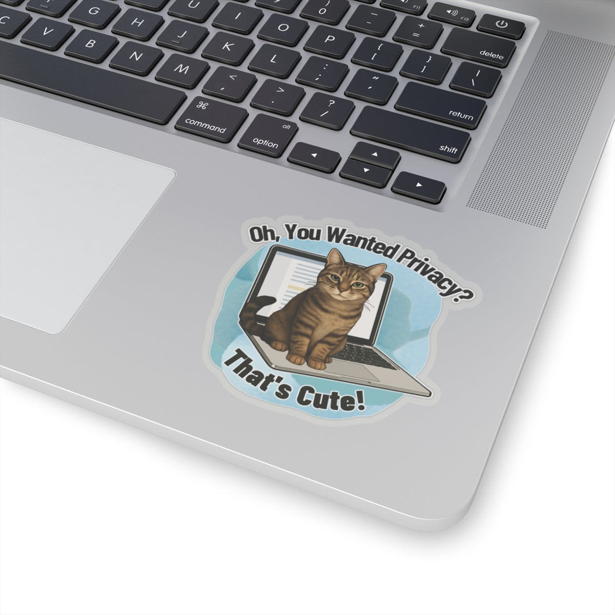 Funny Cat Sticker, Laptop Blocker Tabby Cat Vinyl Sticker, Oh You Wanted Privacy Thats Cute, Gift For Cat Lovers \,WFH Humor Waterproof Decal