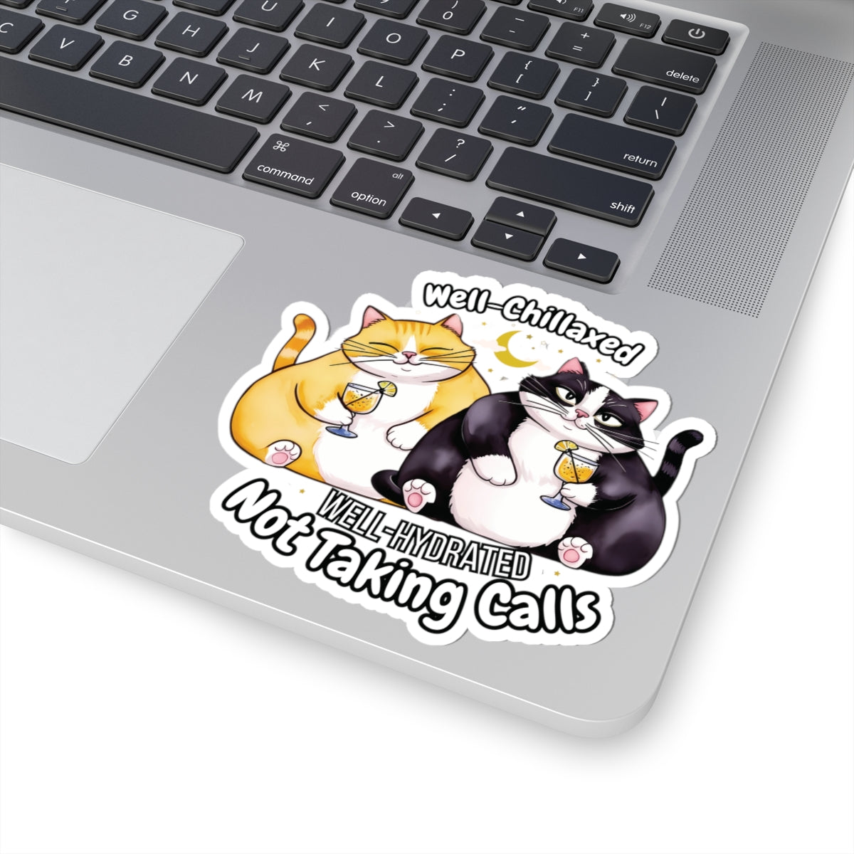 Well-Chillaxed Well-Hydrated Not Taking Calls Funny Kiss-Cut Sticker Waterproof Durable Laptop Water Bottle Sticker Gift