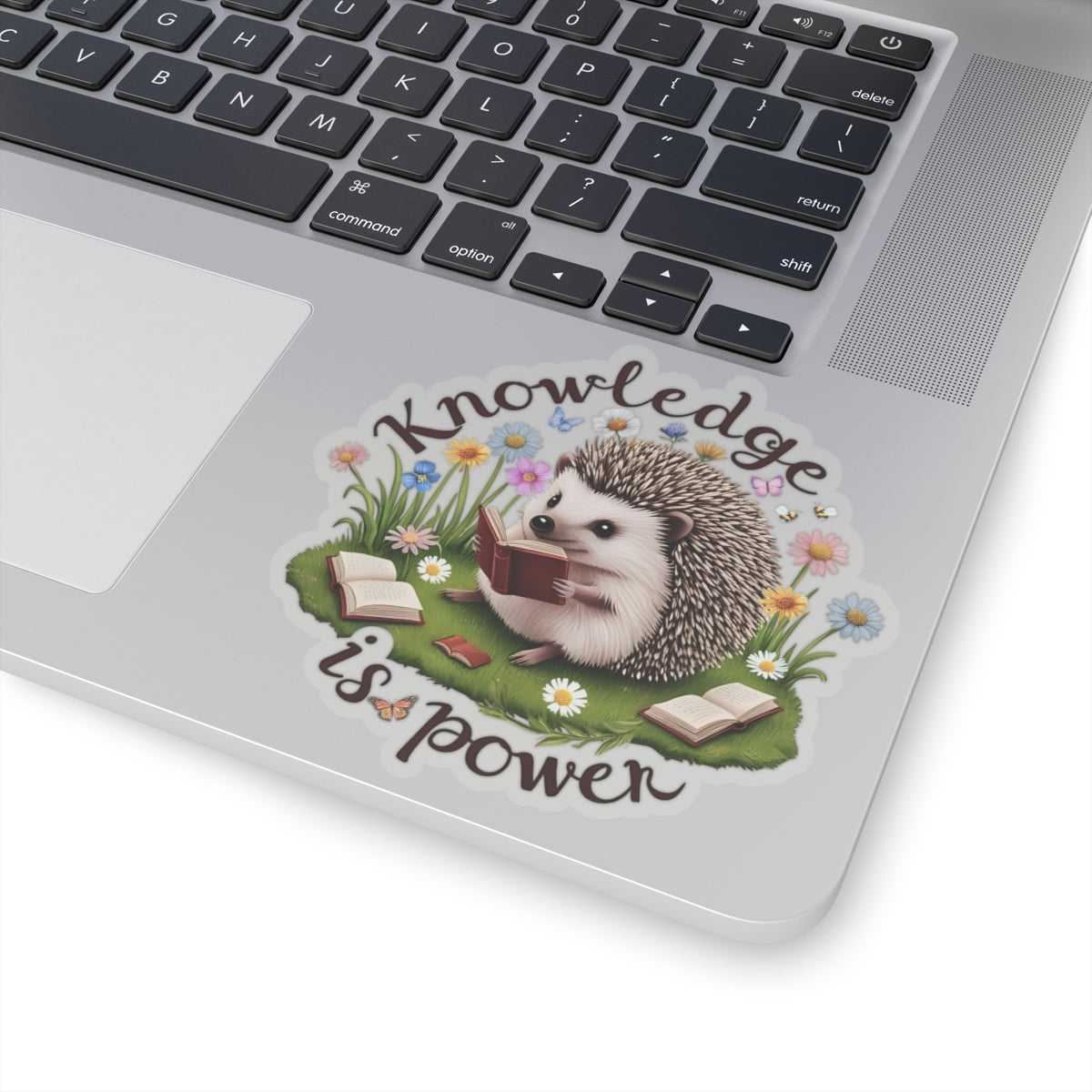 Knowledge Is Power Sticker, Teacher Appreciation Gift, Book Lover Decal, Hedgehog Decal, Nature Inspired Sticker, Laptop Planner School Reading