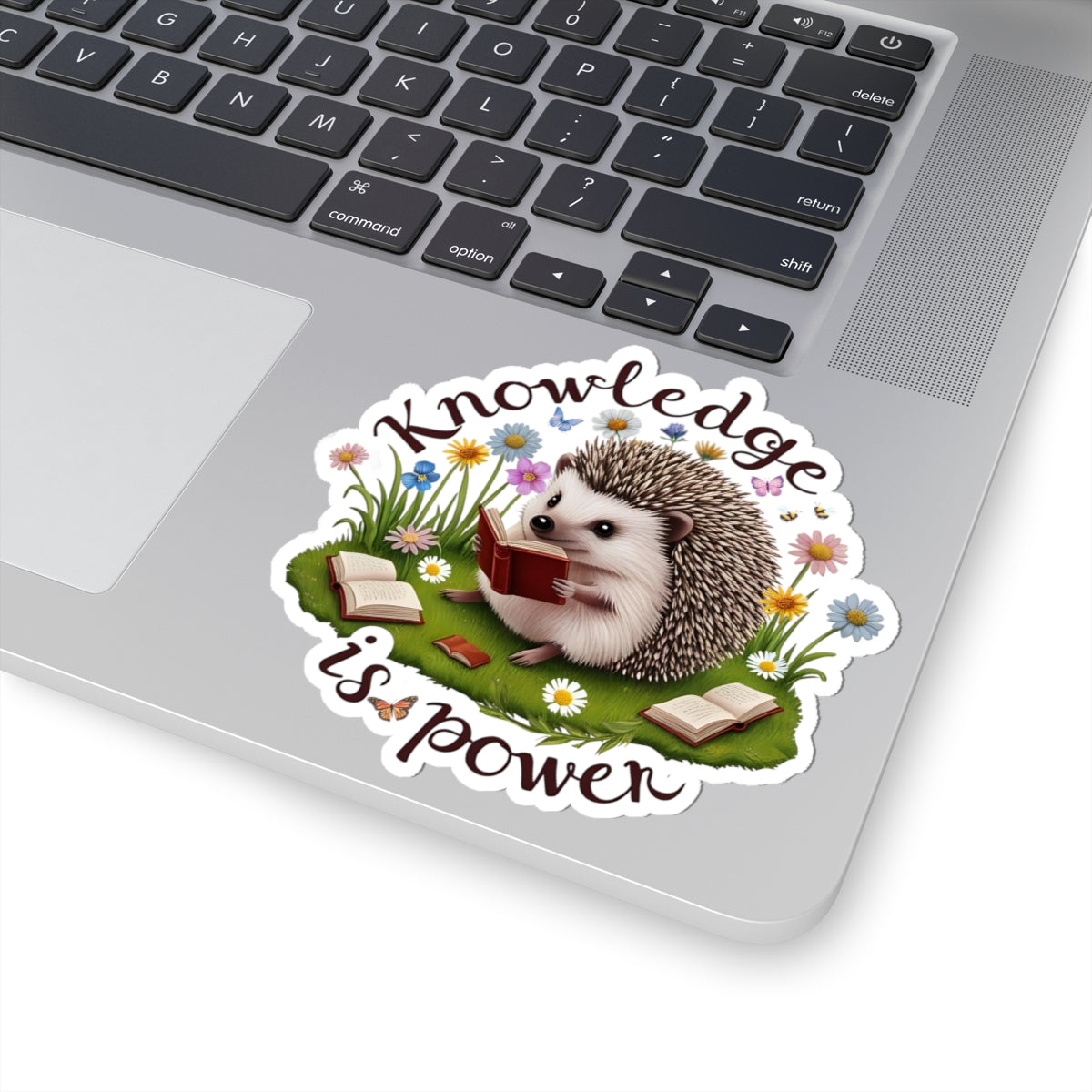 Knowledge Is Power Sticker, Teacher Appreciation Gift, Book Lover Decal, Hedgehog Decal, Nature Inspired Sticker, Laptop Planner School Reading