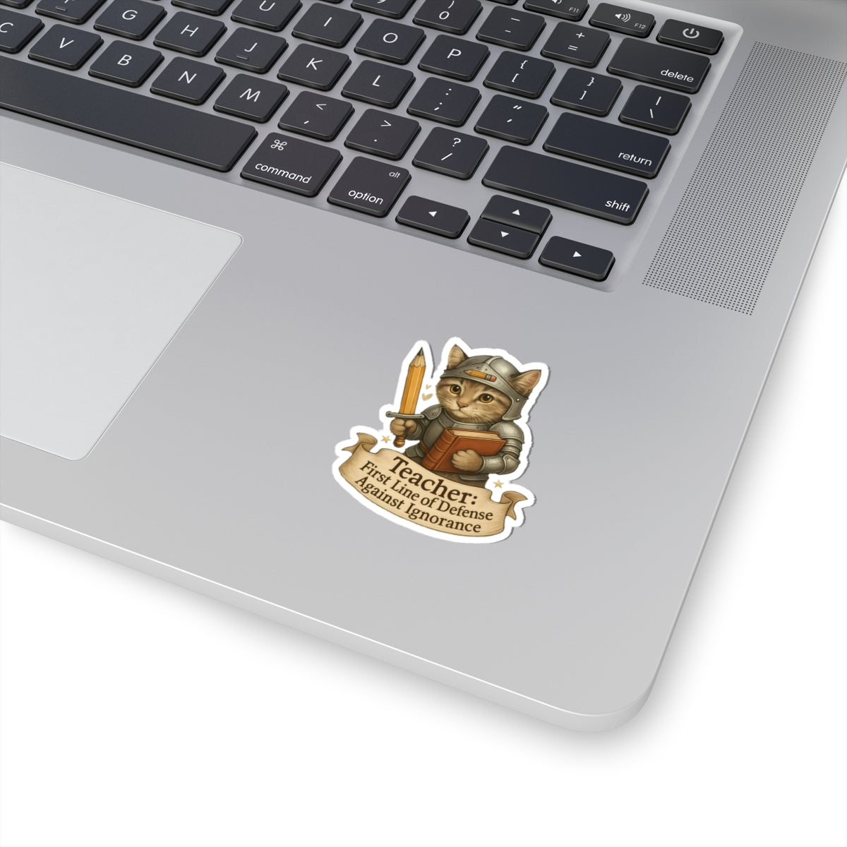 Teachers Day Sticker, Cat Teacher Decal, Cute Book Lover Vinyl Sticker, Waterproof Sticker Laptop Planner Sticker Mug Teacher Gift Idea