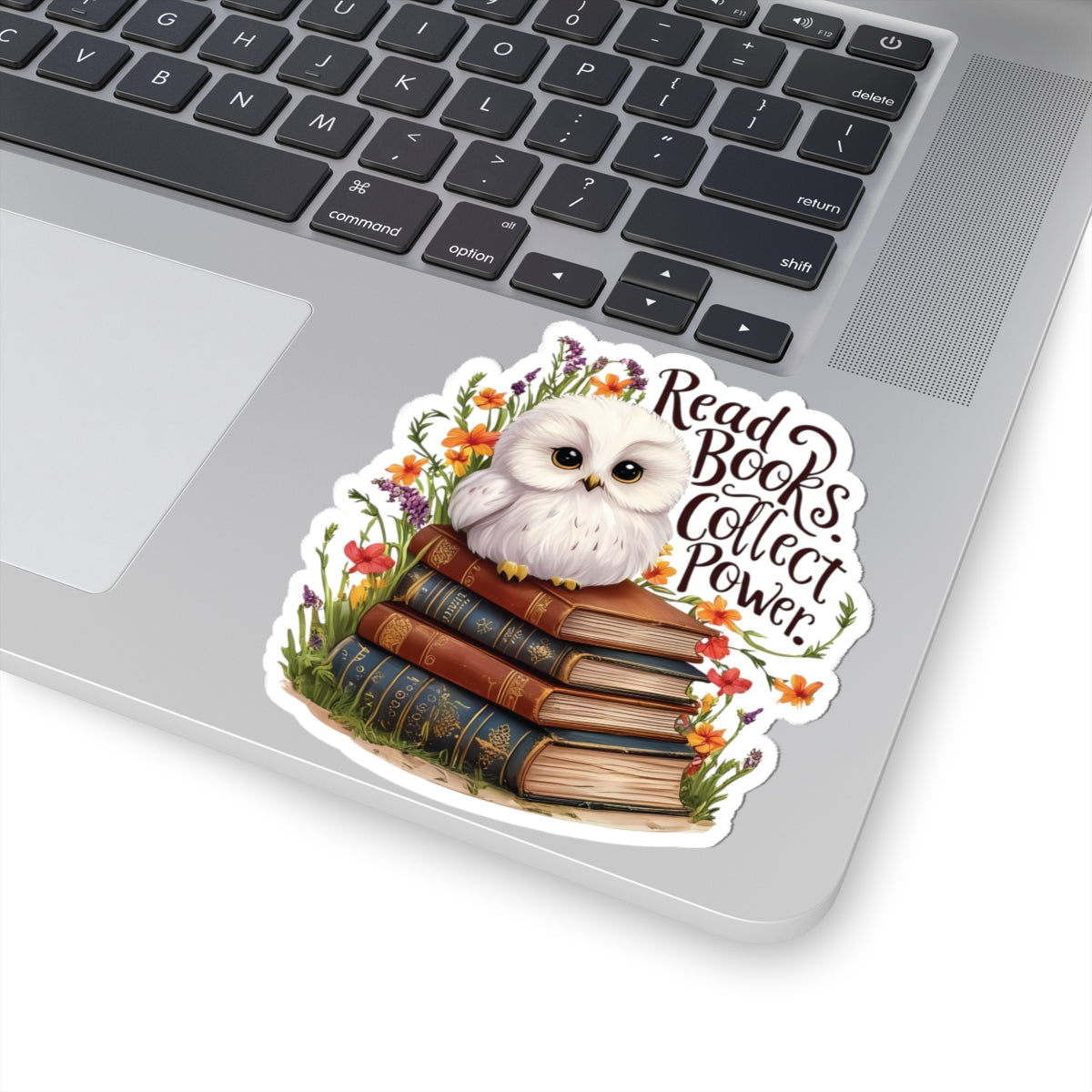 Read Books Collect Power Owl Sticker, Book Lover Gift, Cute Reading Owl, Bookworm Teacher's Day Sticker, School Sticker Student Bookish Gift