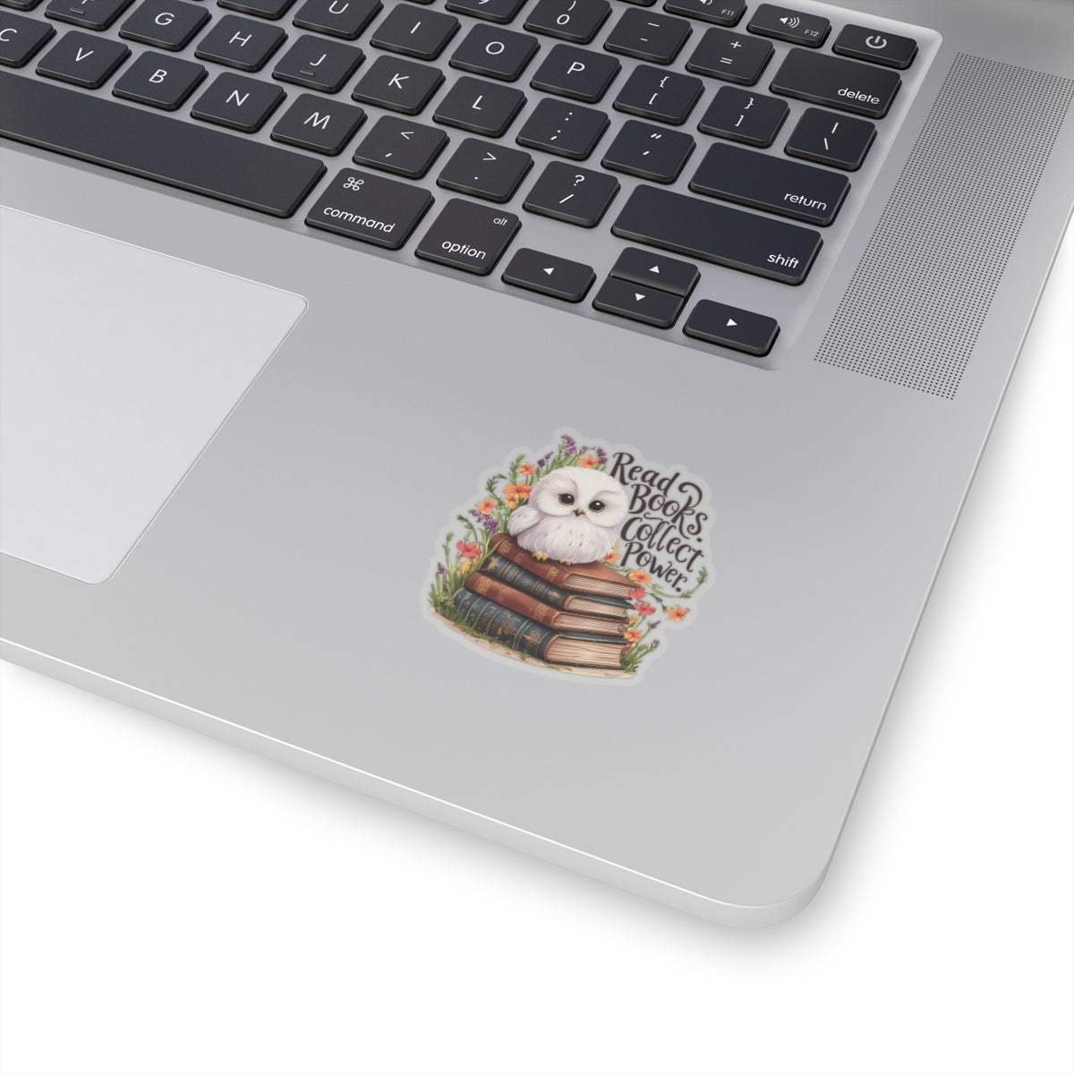 Read Books Collect Power Owl Sticker, Book Lover Gift, Cute Reading Owl, Bookworm Teacher's Day Sticker, School Sticker Student Bookish Gift