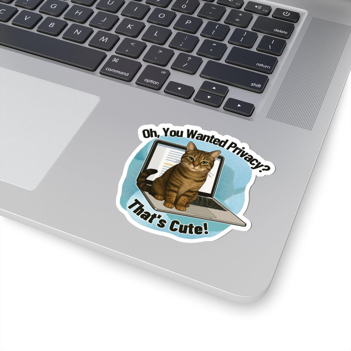 Funny Cat Sticker, Laptop Blocker Tabby Cat Vinyl Sticker, Oh You Wanted Privacy Thats Cute, Gift For Cat Lovers \,WFH Humor Waterproof Decal