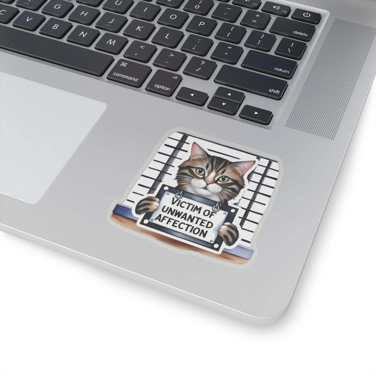 Victim Of Unwanted Affection Cat Kiss Cut Sticker Laptop Decor Water Bottle Sticker