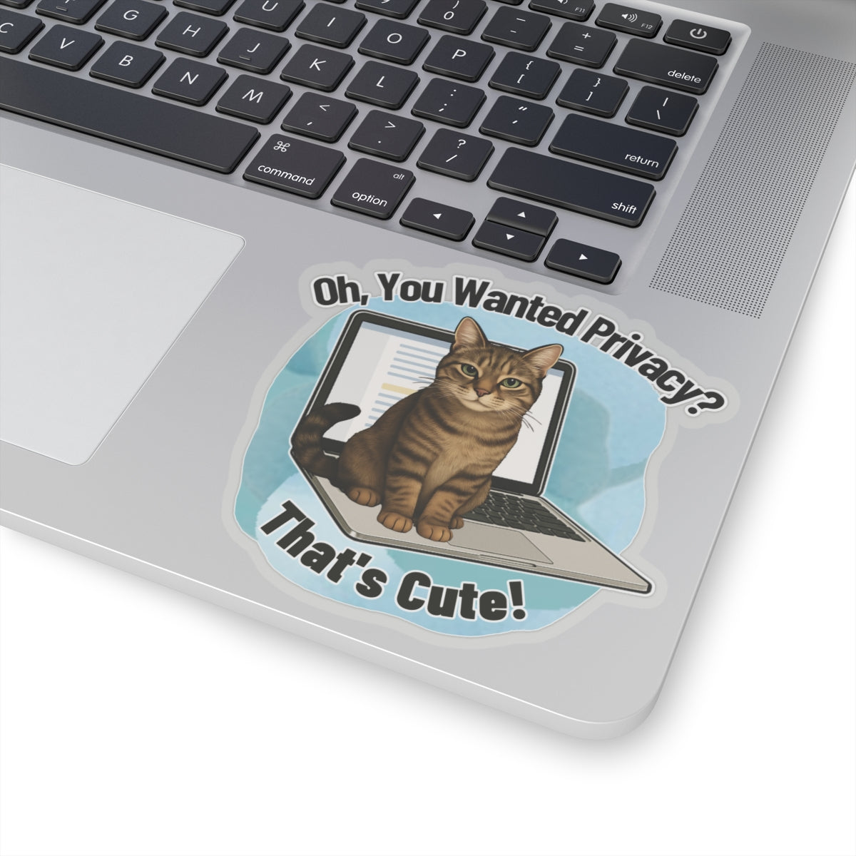 Funny Cat Sticker, Laptop Blocker Tabby Cat Vinyl Sticker, Oh You Wanted Privacy Thats Cute, Gift For Cat Lovers \,WFH Humor Waterproof Decal