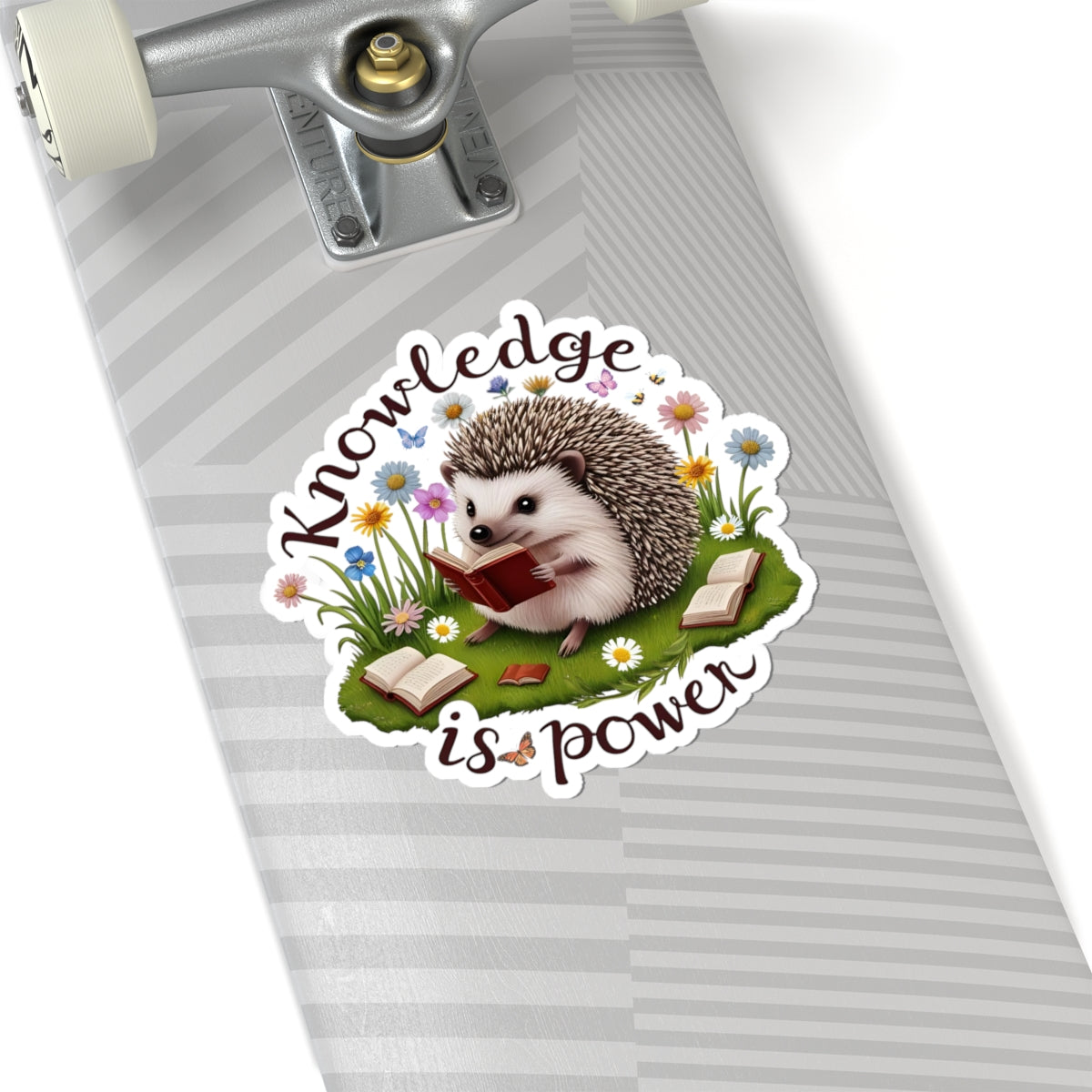 Knowledge Is Power Sticker, Teacher Appreciation Gift, Book Lover Decal, Hedgehog Decal, Nature Inspired Sticker, Laptop Planner School Reading