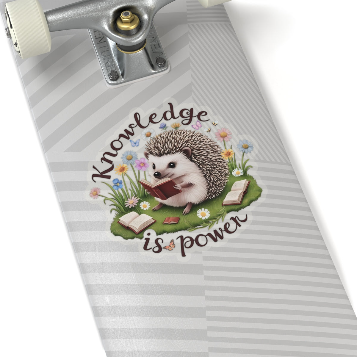 Knowledge Is Power Sticker, Teacher Appreciation Gift, Book Lover Decal, Hedgehog Decal, Nature Inspired Sticker, Laptop Planner School Reading
