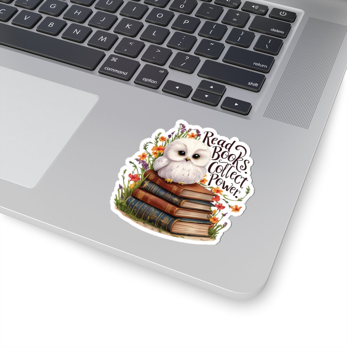 Read Books Collect Power Owl Sticker, Book Lover Gift, Cute Reading Owl, Bookworm Teacher's Day Sticker, School Sticker Student Bookish Gift