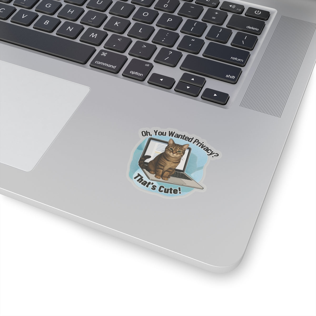 Funny Cat Sticker, Laptop Blocker Tabby Cat Vinyl Sticker, Oh You Wanted Privacy Thats Cute, Gift For Cat Lovers \,WFH Humor Waterproof Decal