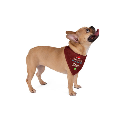 Santa, I Can Explain Christmas Pet Bandana, Red Color