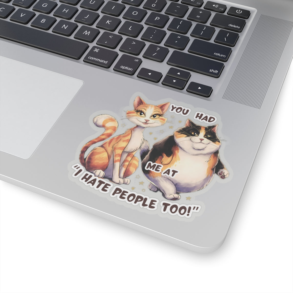 You Had Me at 'I Hate People Too' Funny Cat Kiss-Cut Stickers Waterproof Durable Laptop Water Bottle Sticker Gift