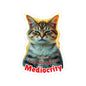 Not Sour Just Allergic To Mediocrity Cat Sticker, Funny Sarcastic Kitty Attitude Gift, Realistic Tabby Cat, Grumpy Cat Face Vinyl Sticker