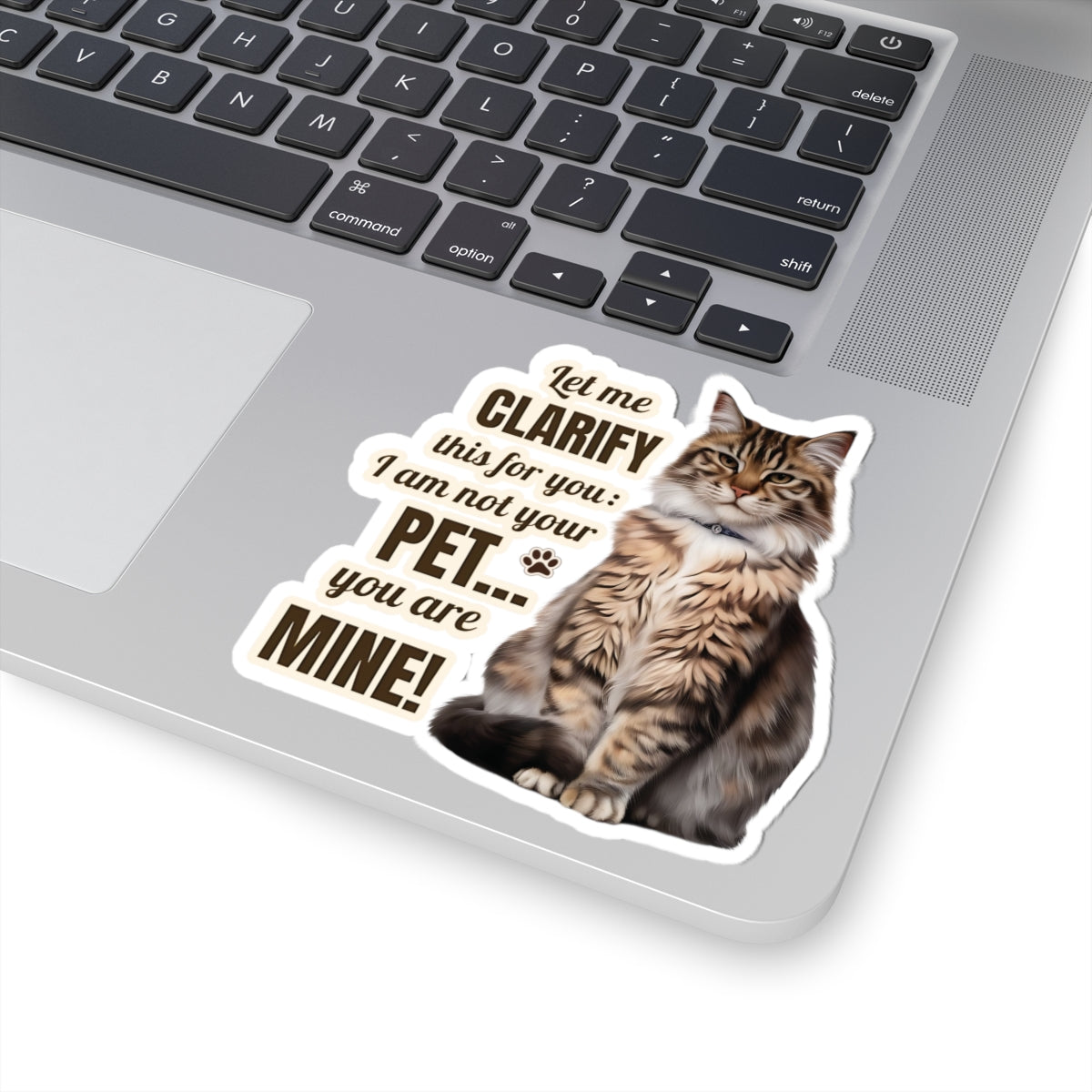 I Am Not Your Pet, You Are Mine Funny Cat Sticker, Waterproof Durable Decoration for Laptop, Water Bottle, and Planner