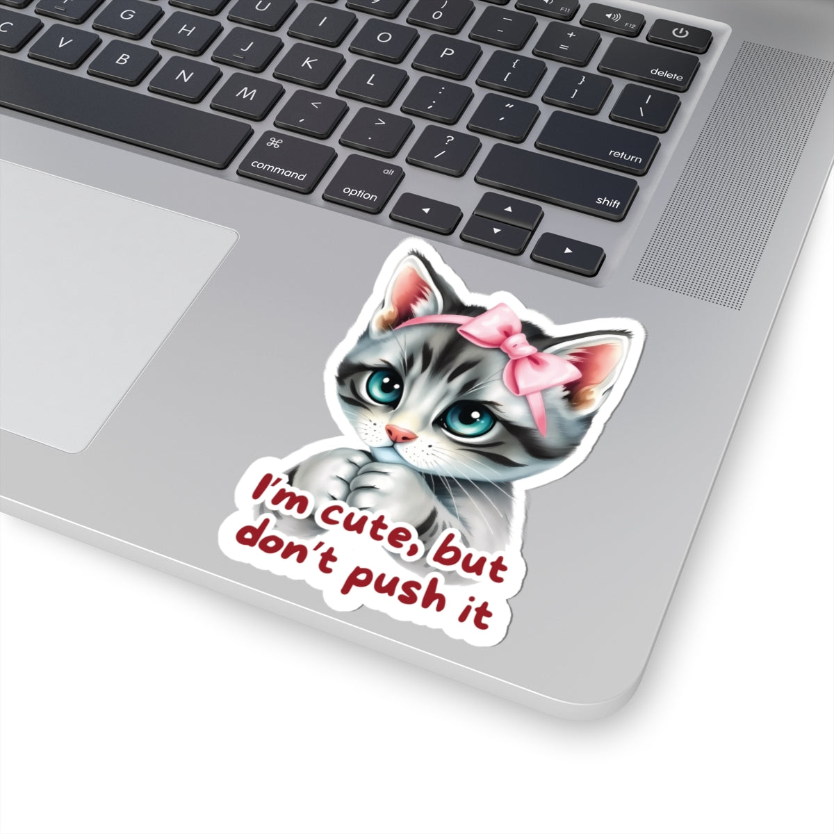 I'm Cute But Don't Push It Sticker, Funny Cat Sticker for Laptops, Water Bottles & More