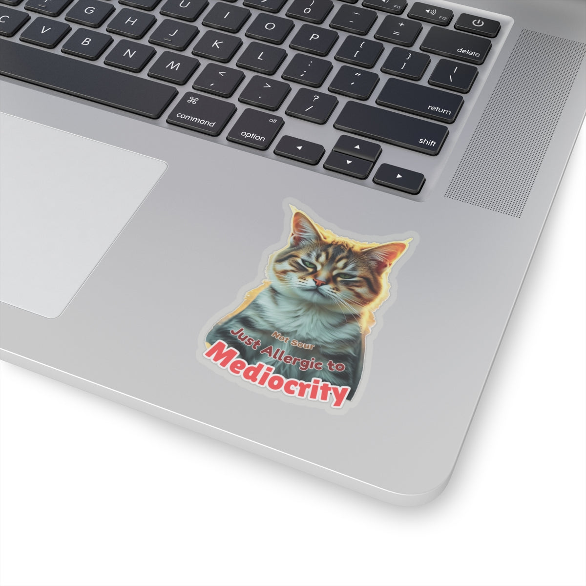 Not Sour Just Allergic To Mediocrity Cat Sticker, Funny Sarcastic Kitty Attitude Gift, Realistic Tabby Cat, Grumpy Cat Face Vinyl Sticker