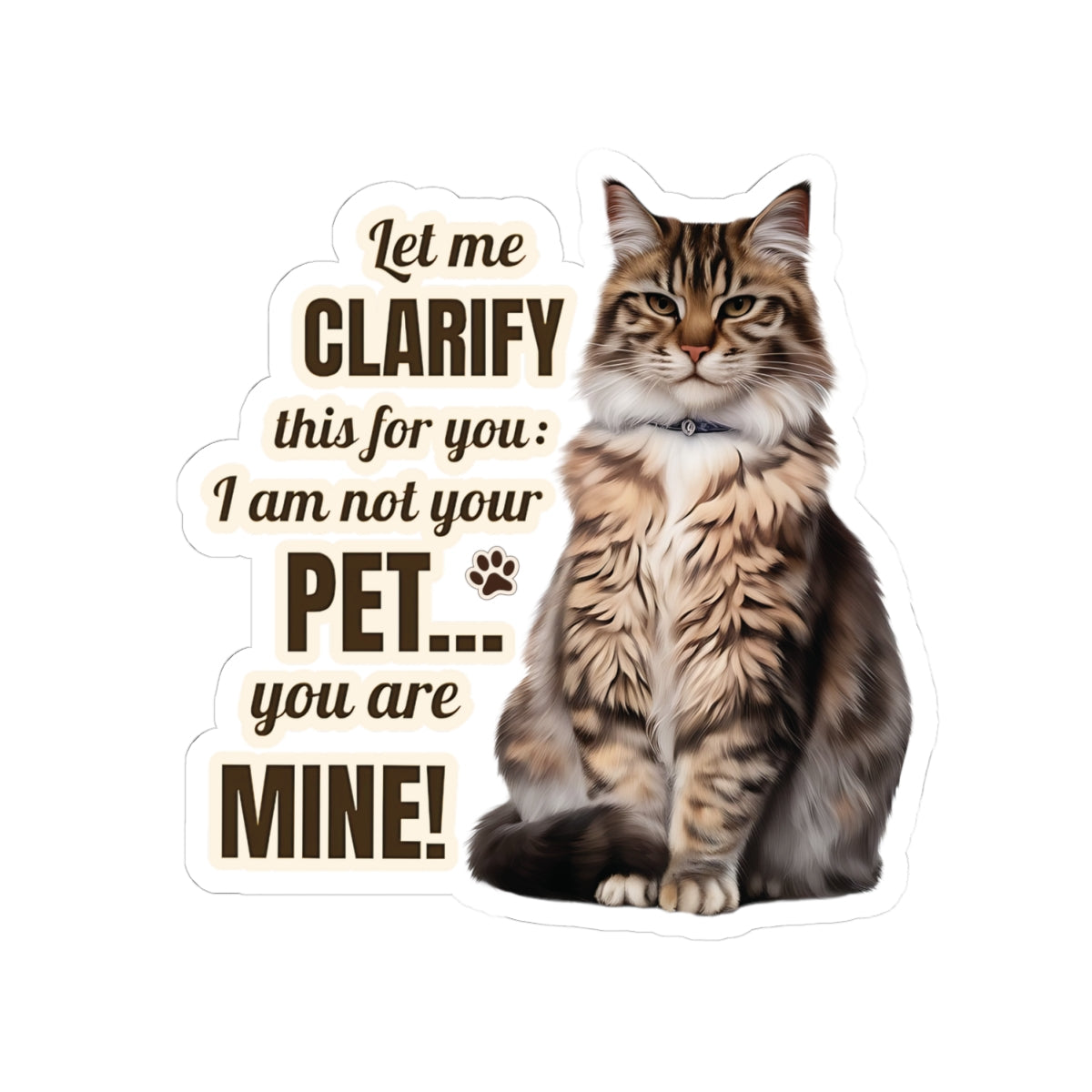 I Am Not Your Pet, You Are Mine Funny Cat Sticker, Waterproof Durable Decoration for Laptop, Water Bottle, and Planner