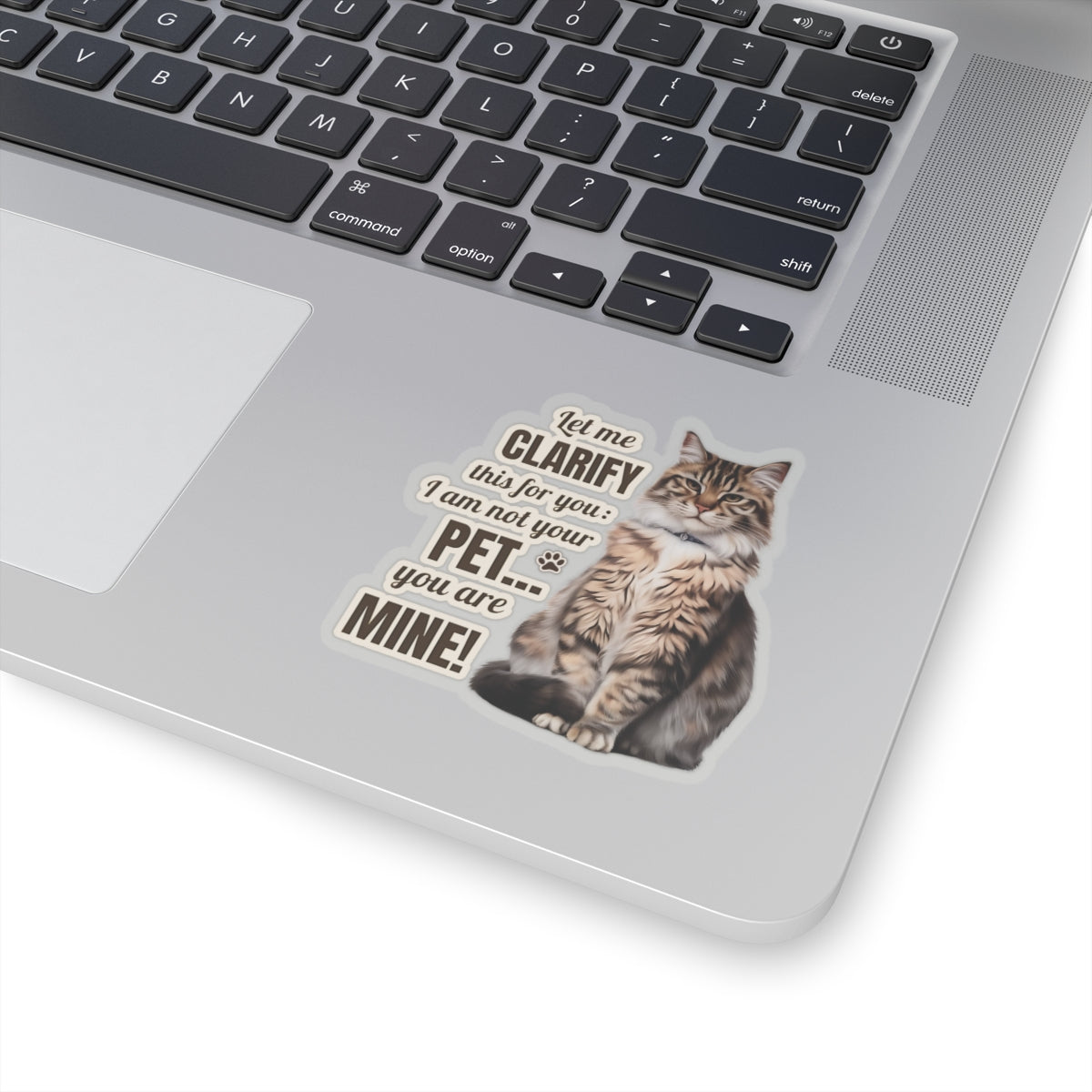 I Am Not Your Pet, You Are Mine Funny Cat Sticker, Waterproof Durable Decoration for Laptop, Water Bottle, and Planner