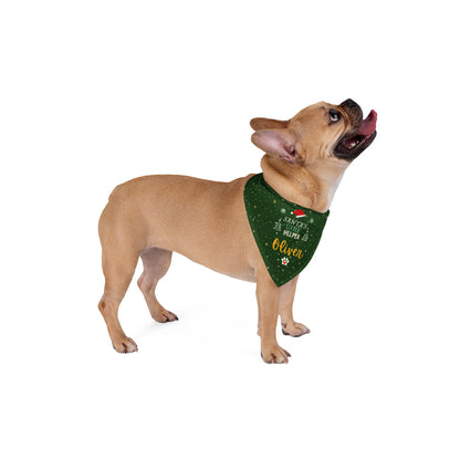 Santa's Little Helper Christmas Pet Bandana, Green Color