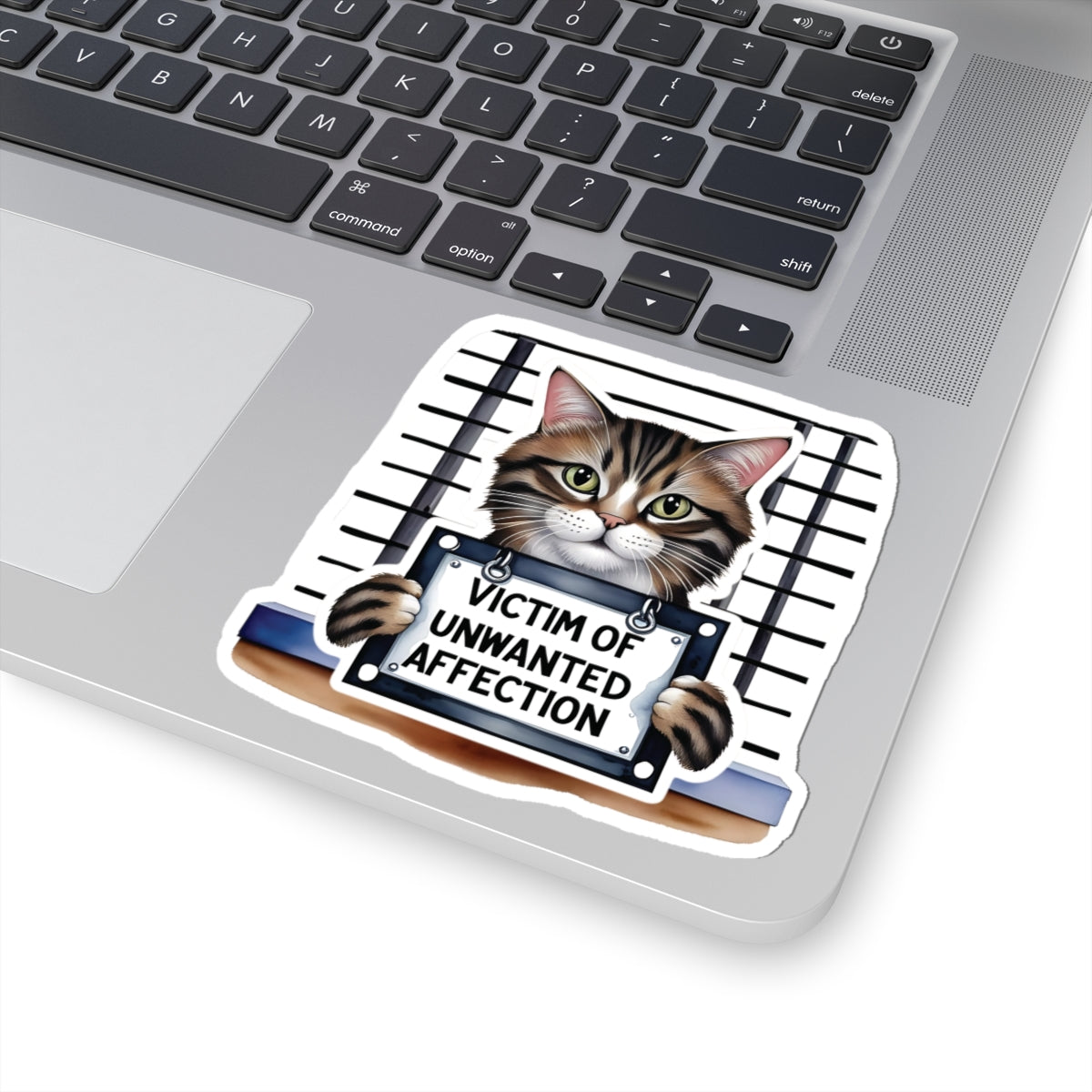 Victim Of Unwanted Affection Cat Kiss Cut Sticker Laptop Decor Water Bottle Sticker