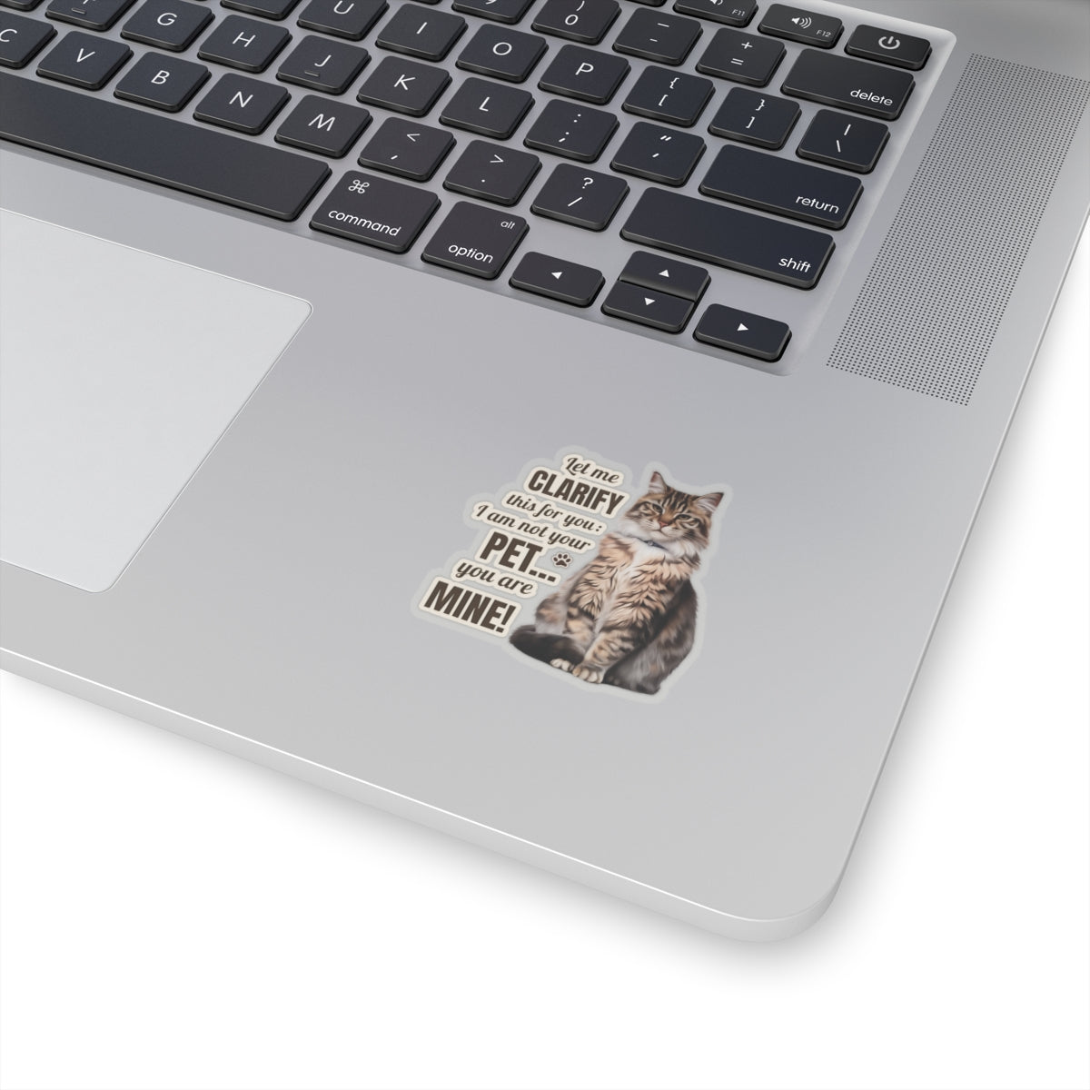 I Am Not Your Pet, You Are Mine Funny Cat Sticker, Waterproof Durable Decoration for Laptop, Water Bottle, and Planner