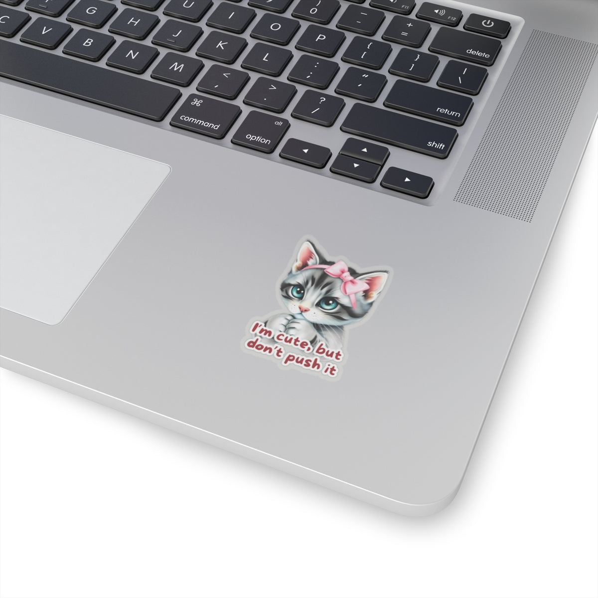 I'm Cute But Don't Push It Sticker, Funny Cat Sticker for Laptops, Water Bottles & More