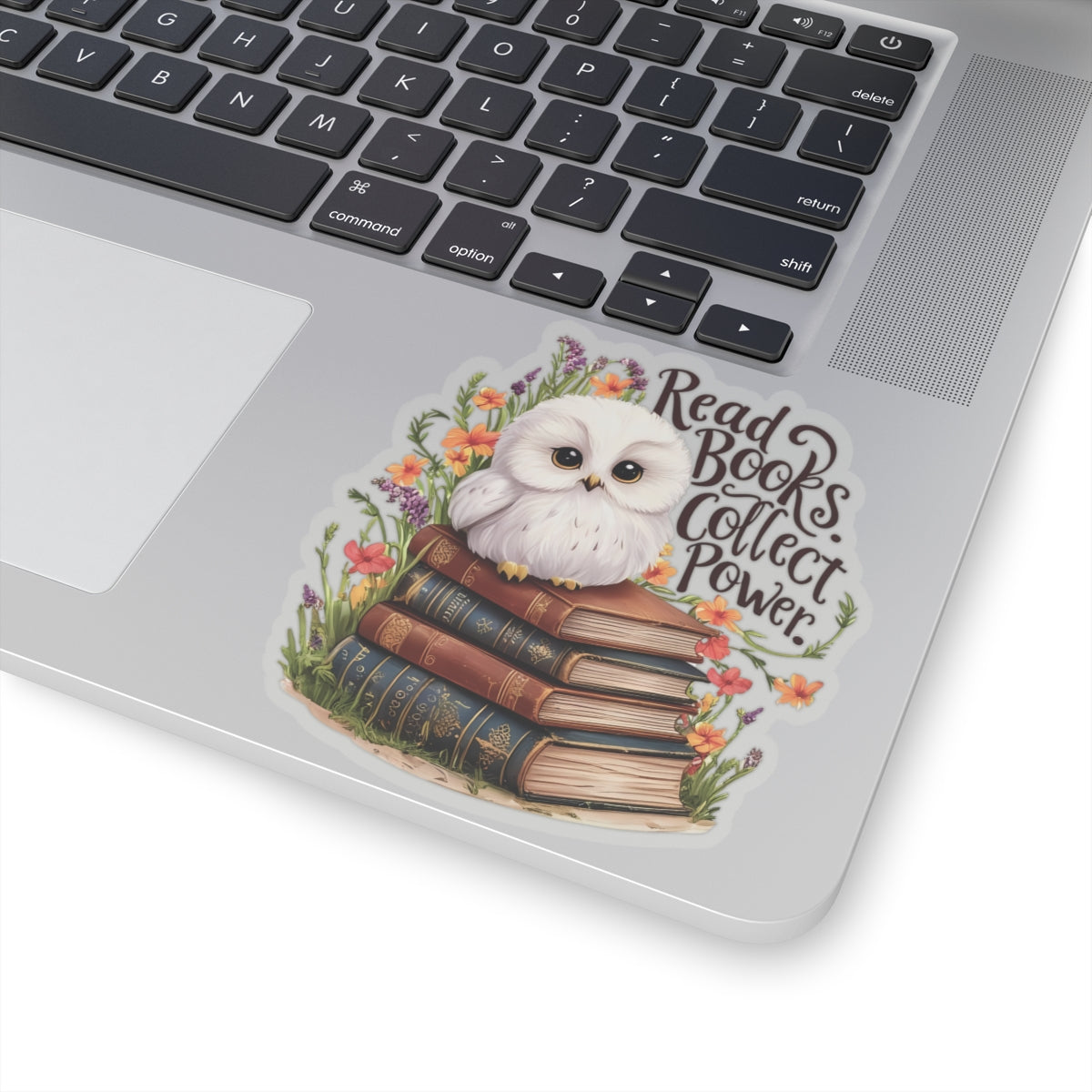 Read Books Collect Power Owl Sticker, Book Lover Gift, Cute Reading Owl, Bookworm Teacher's Day Sticker, School Sticker Student Bookish Gift