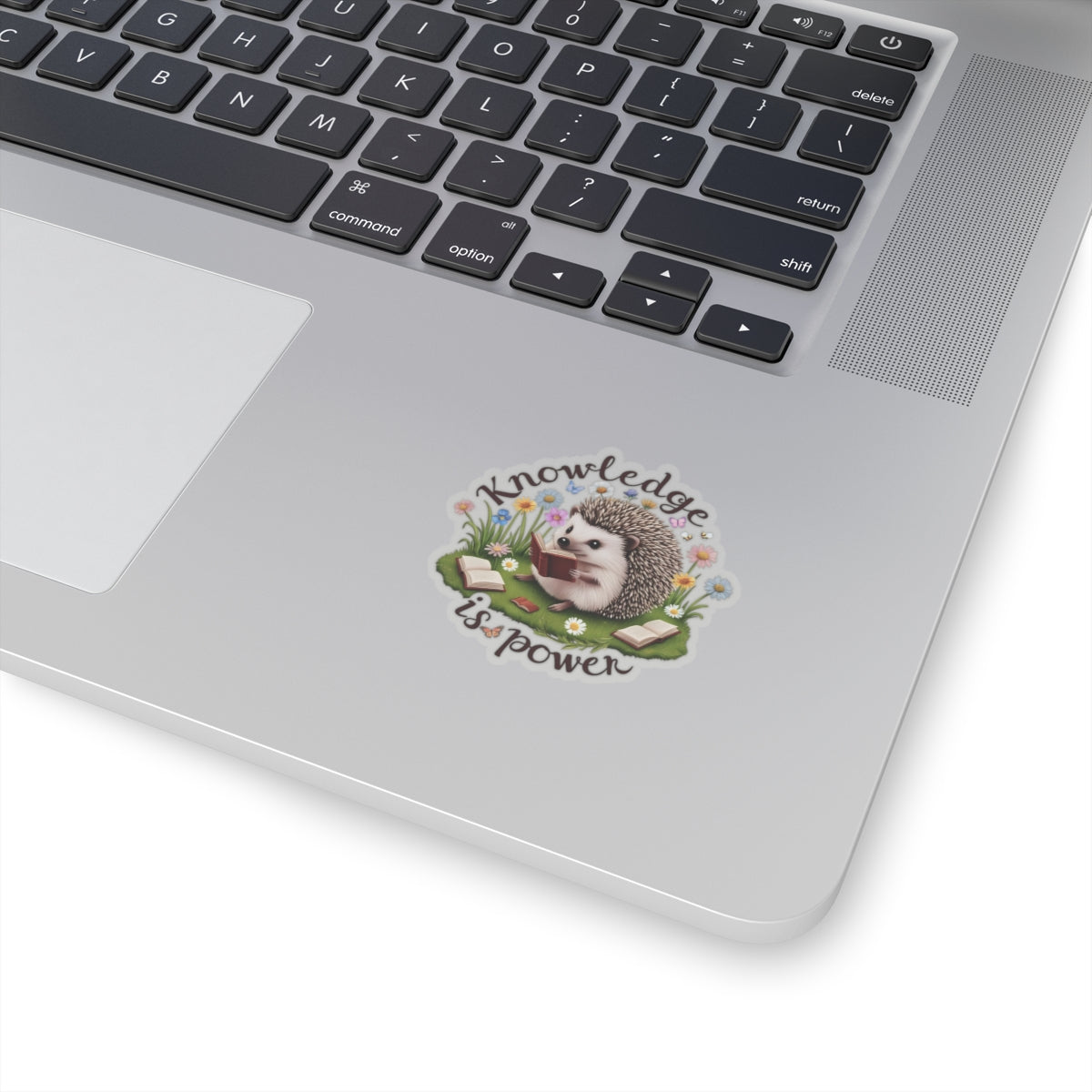 Knowledge Is Power Sticker, Teacher Appreciation Gift, Book Lover Decal, Hedgehog Decal, Nature Inspired Sticker, Laptop Planner School Reading