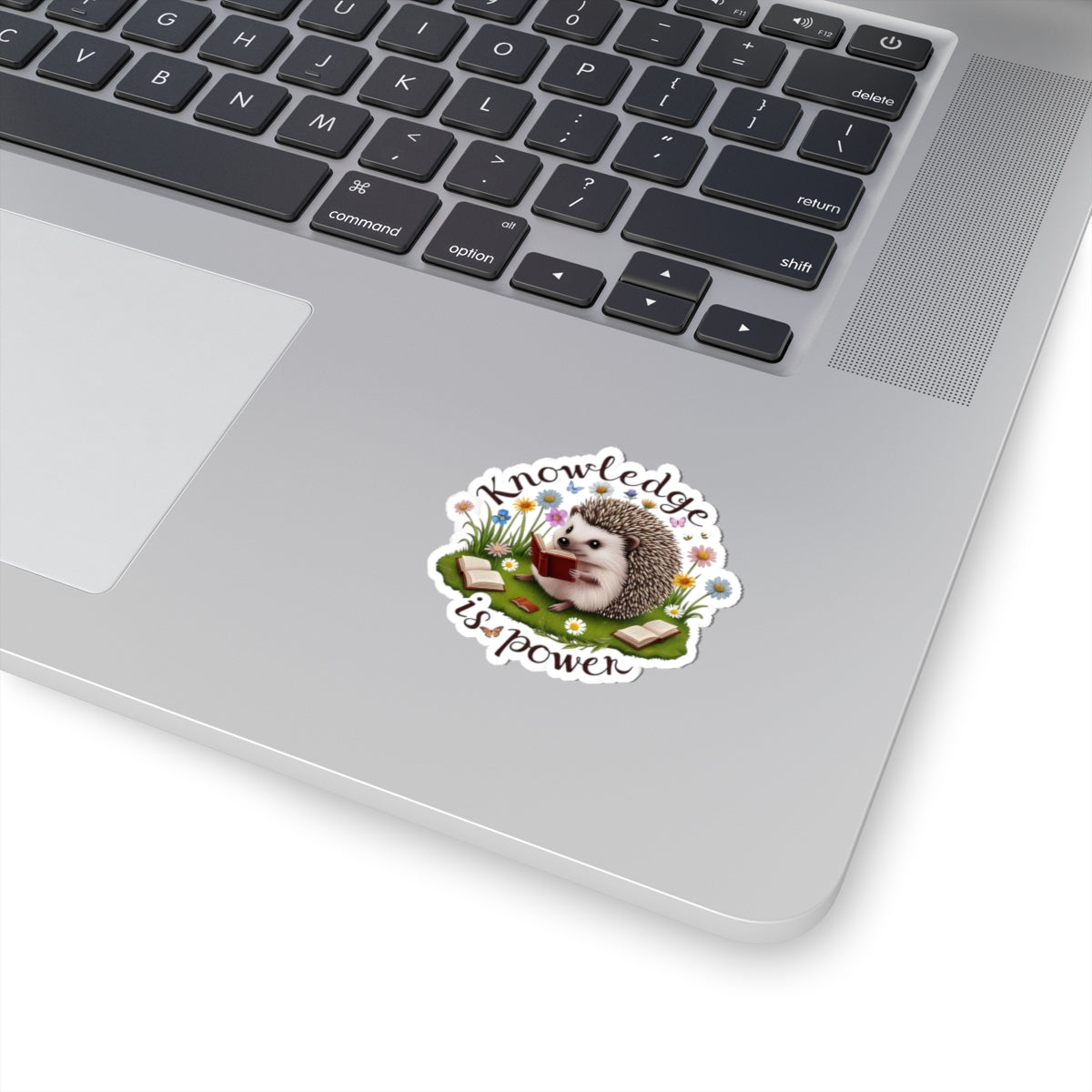 Knowledge Is Power Sticker, Teacher Appreciation Gift, Book Lover Decal, Hedgehog Decal, Nature Inspired Sticker, Laptop Planner School Reading