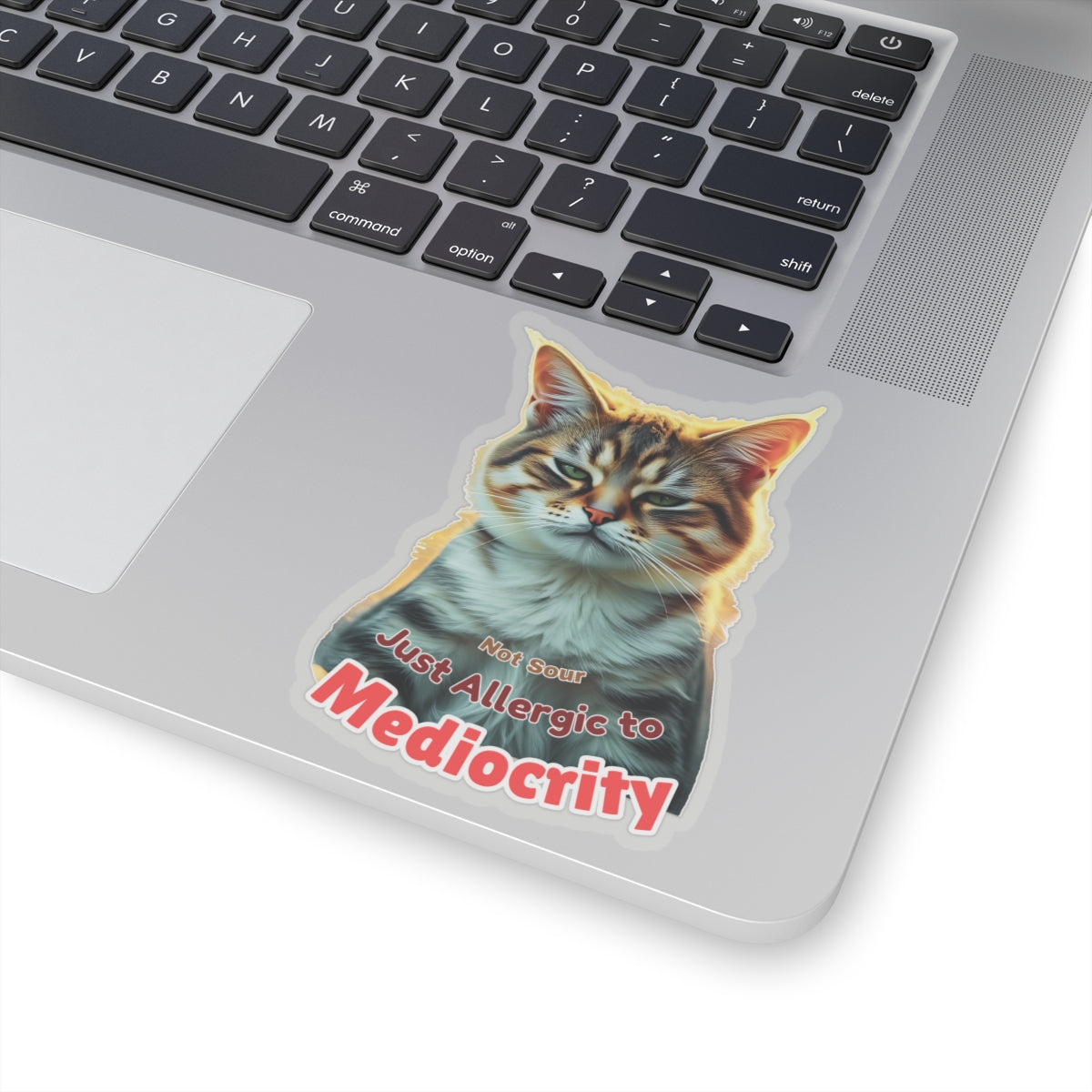 Not Sour Just Allergic To Mediocrity Cat Sticker, Funny Sarcastic Kitty Attitude Gift, Realistic Tabby Cat, Grumpy Cat Face Vinyl Sticker