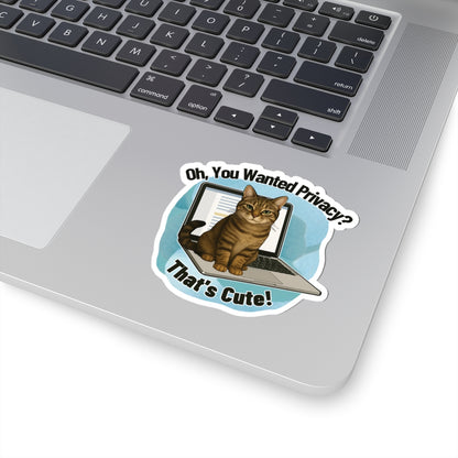 Funny Cat Sticker, Laptop Blocker Tabby Cat Vinyl Sticker, Oh You Wanted Privacy Thats Cute, Gift For Cat Lovers \,WFH Humor Waterproof Decal