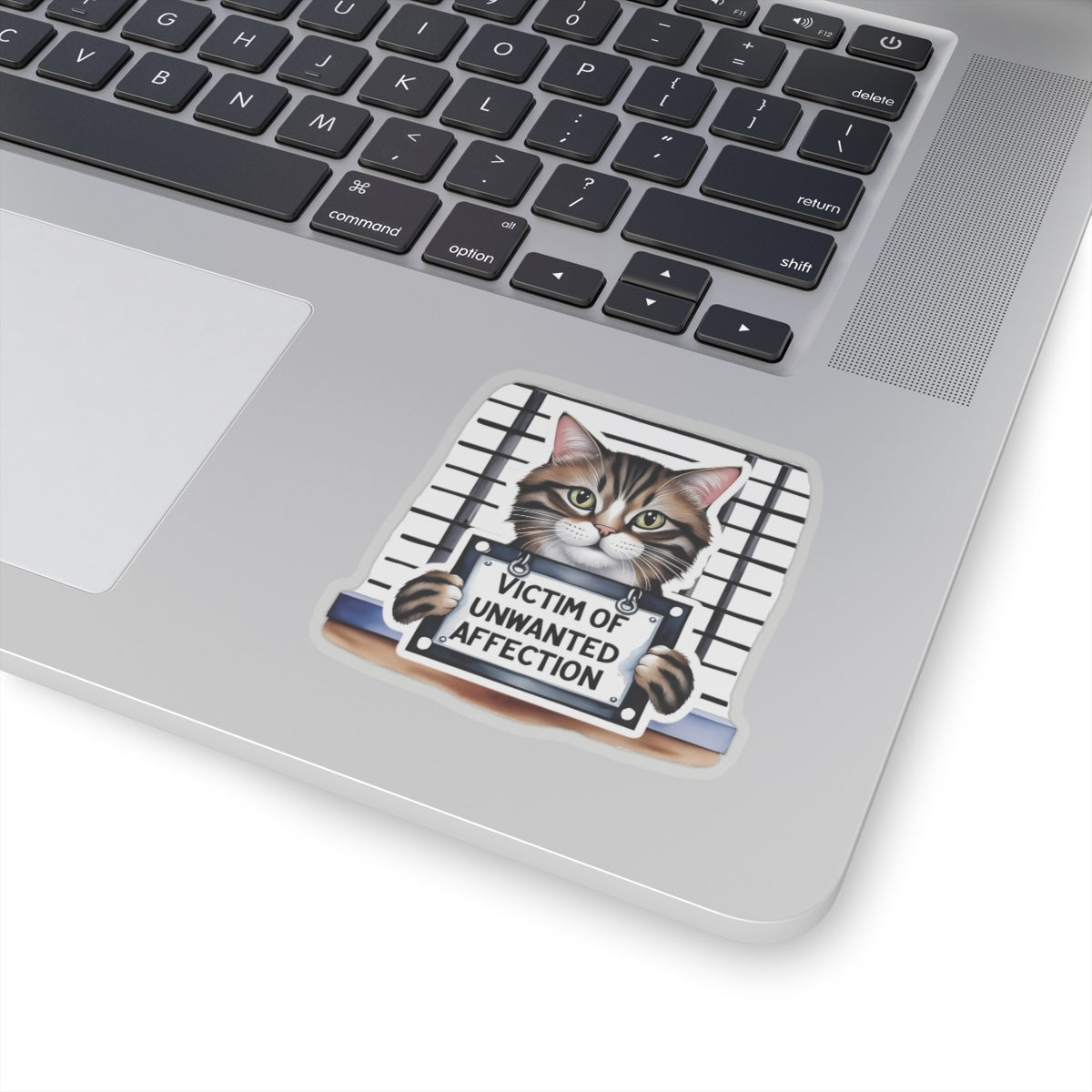 Victim Of Unwanted Affection Cat Kiss Cut Sticker Laptop Decor Water Bottle Sticker