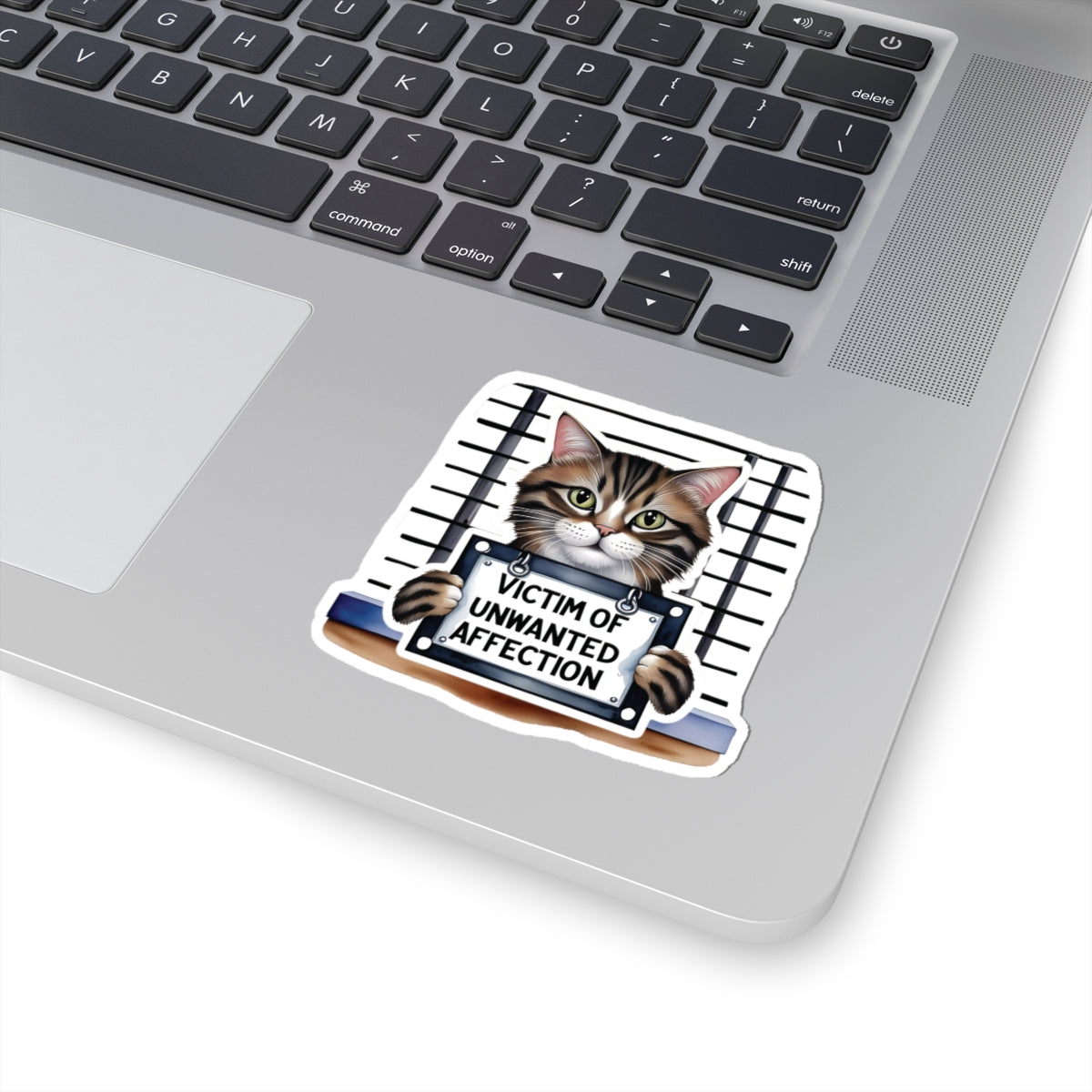 Victim Of Unwanted Affection Cat Kiss Cut Sticker Laptop Decor Water Bottle Sticker