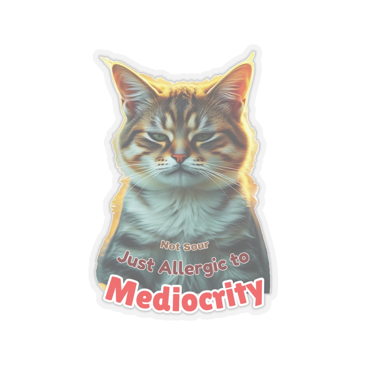 Not Sour Just Allergic To Mediocrity Cat Sticker, Funny Sarcastic Kitty Attitude Gift, Realistic Tabby Cat, Grumpy Cat Face Vinyl Sticker