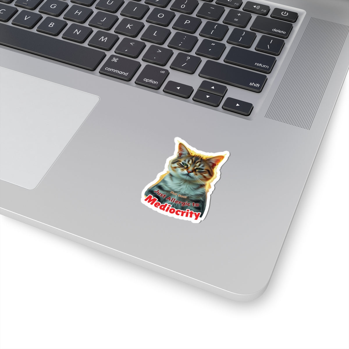 Not Sour Just Allergic To Mediocrity Cat Sticker, Funny Sarcastic Kitty Attitude Gift, Realistic Tabby Cat, Grumpy Cat Face Vinyl Sticker