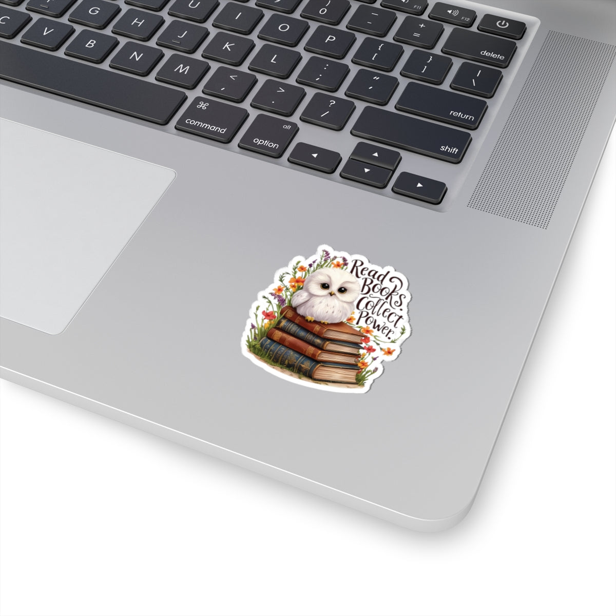 Read Books Collect Power Owl Sticker, Book Lover Gift, Cute Reading Owl, Bookworm Teacher's Day Sticker, School Sticker Student Bookish Gift