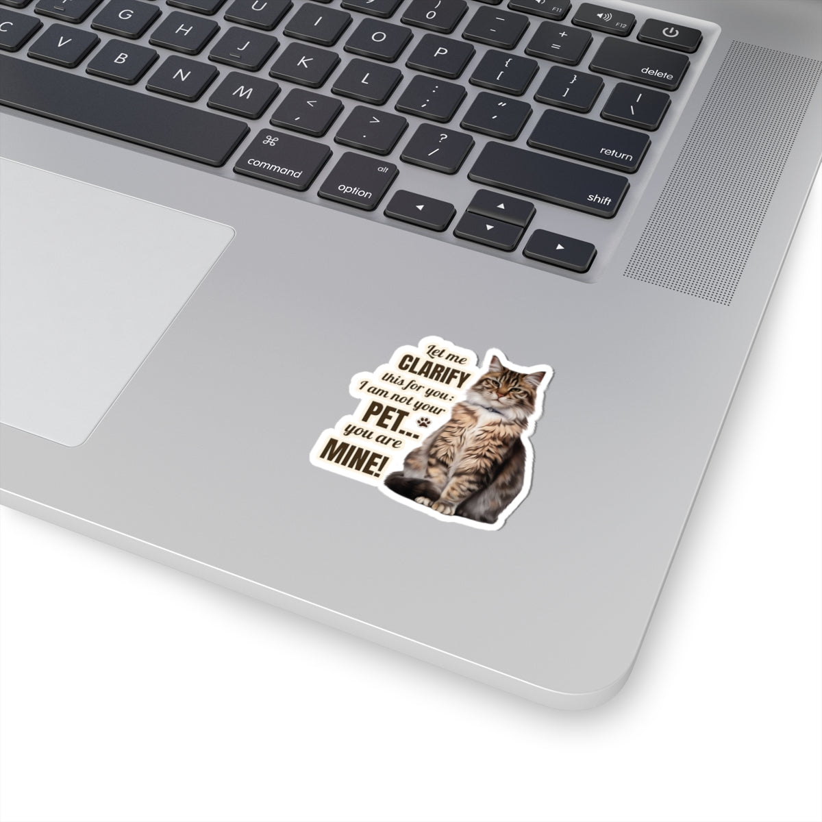 I Am Not Your Pet, You Are Mine Funny Cat Sticker, Waterproof Durable Decoration for Laptop, Water Bottle, and Planner