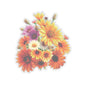 Garden Flowers Bouquet Sticker Gerbera Daisies April Birth Flower Symbol Of Joy Waterproof Vinyl Kiss Cut Laptop Water Bottle Scrapbook