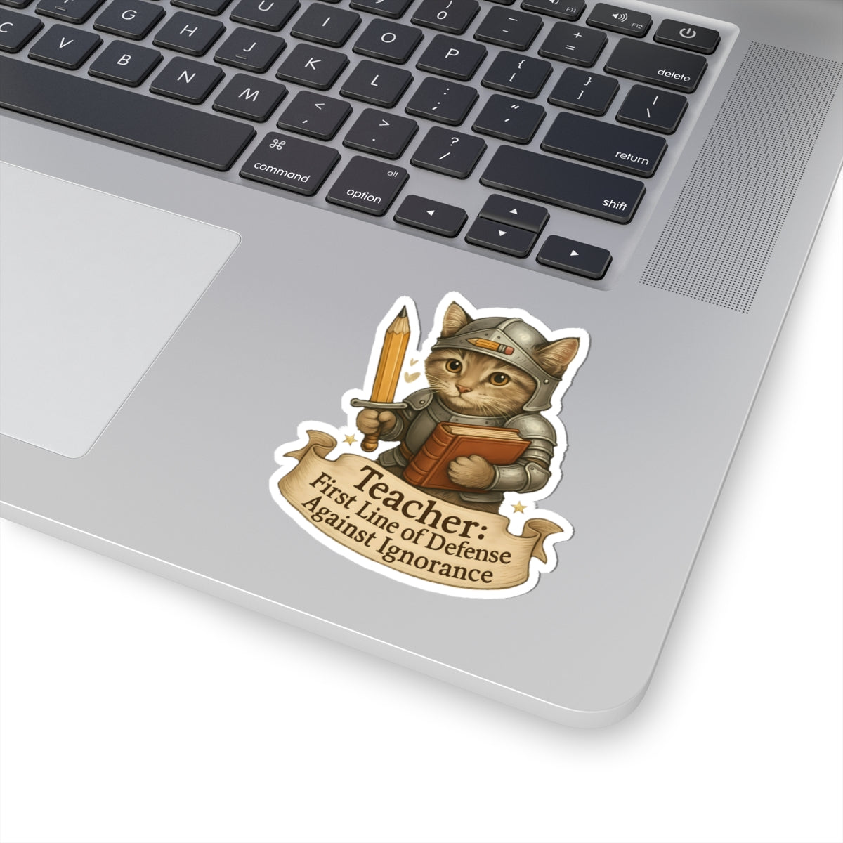Teachers Day Sticker, Cat Teacher Decal, Cute Book Lover Vinyl Sticker, Waterproof Sticker Laptop Planner Sticker Mug Teacher Gift Idea
