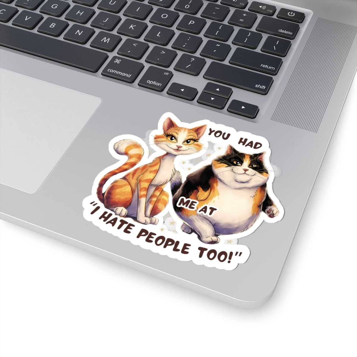 You Had Me at 'I Hate People Too' Funny Cat Kiss-Cut Stickers Waterproof Durable Laptop Water Bottle Sticker Gift