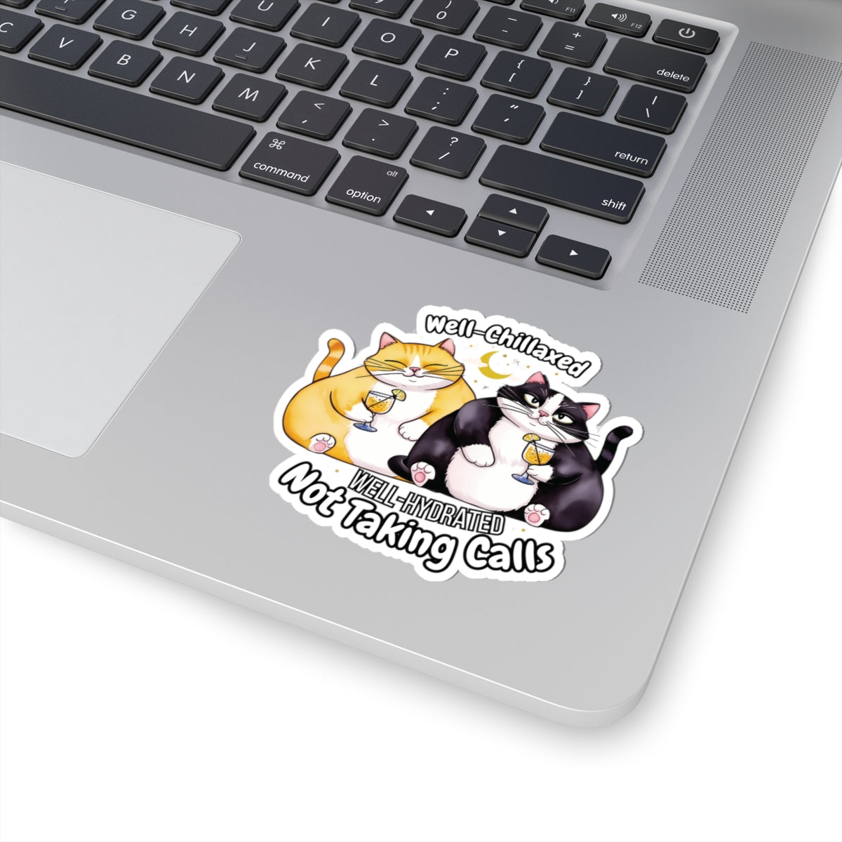 Well-Chillaxed Well-Hydrated Not Taking Calls Funny Kiss-Cut Sticker Waterproof Durable Laptop Water Bottle Sticker Gift