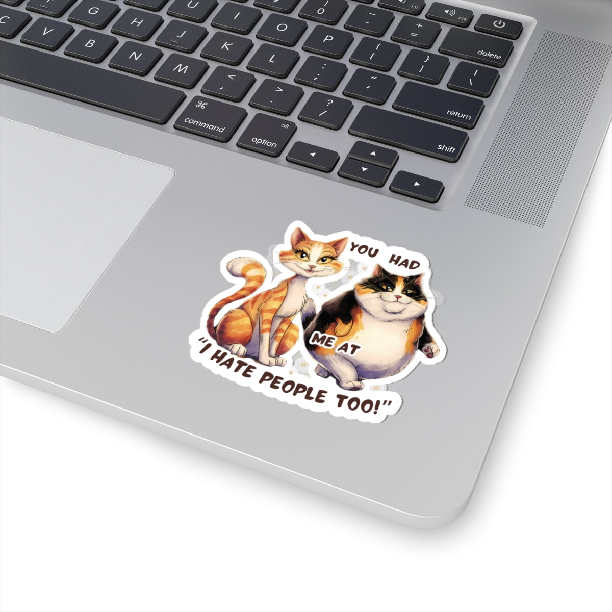 You Had Me at 'I Hate People Too' Funny Cat Kiss-Cut Stickers Waterproof Durable Laptop Water Bottle Sticker Gift