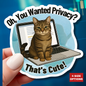 Funny Cat Sticker, Laptop Blocker Tabby Cat Vinyl Sticker, Oh You Wanted Privacy Thats Cute, Gift For Cat Lovers \,WFH Humor Waterproof Decal
