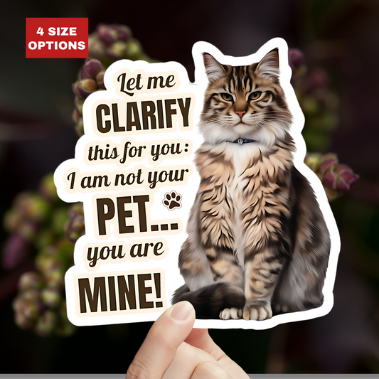 I Am Not Your Pet, You Are Mine Funny Cat Sticker, Waterproof Durable Decoration for Laptop, Water Bottle, and Planner